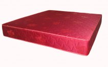 �������� ����� 